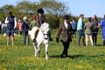 Class 2: Lead rein portfolio