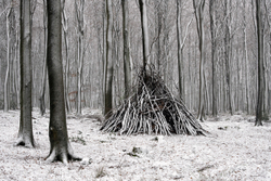 Cold shelter