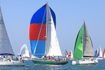 190629 QUAILO III GBR684 K1222 1Y3A9793