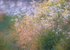 15th May Evening Light