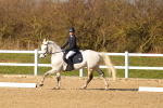 SBM_004528
