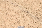 230906A-123842-00272