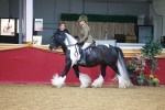 SBM_06267