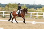 SBM_000964