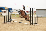 SBM_007526