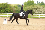 SBM_006945