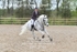 BPP_3361