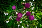 DSC01938