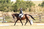 SBM_001389