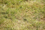 SBM_09130