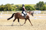 SBM_008379