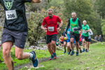 Dovedale Dash-1154