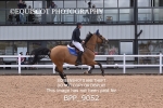 BPP_9052
