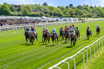 Race 1 1.45pm Sky Bet ebfstallions.com Novice Stakes portfolio