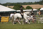 SBM_07581
