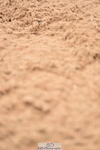 230507A-142251-08390