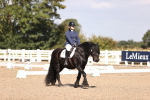 SBM_03537