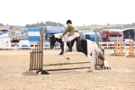 SBM_04286
