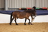 20260913-1689