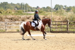 SBM_002826