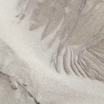 AD819