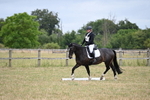 WJ6_8878