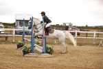 SBM_007972