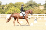 SBM_019282