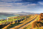 View from Croaghglengad