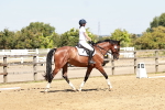 SBM_001628