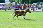SBM_03591