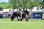 SBM_15319