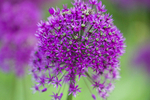 JUNE 2015-7