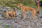 Fellside-469