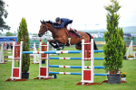 EQUISCOT 9275