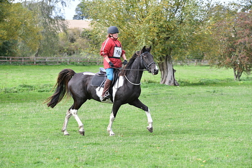 WJ5_9887