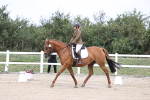 SBM_017398