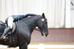 SBM_002347