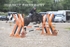 BPP_6744