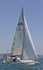 190629 NEFERTARI GBR6642R D43A4495