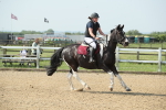 SBM_010718