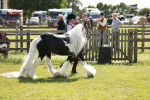 SBM_08956