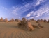 Pinnacles 22