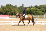 SBM_004381
