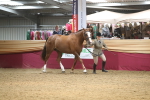 SBM_05660