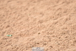 230810A-094750-00136