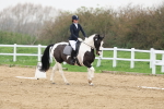 SBM_006802