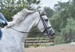 JAC_4541