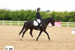 SBM_006955