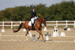 SBM_021907